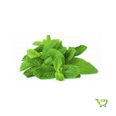 Premium Mint (Pudina) 100g