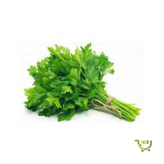 Fresh Parsley