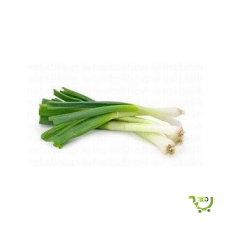 Fresh Spring Onions
