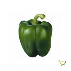 Capsicums Green