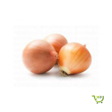 Onions Brown
