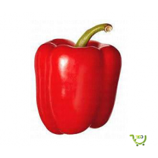 Capsicums Red