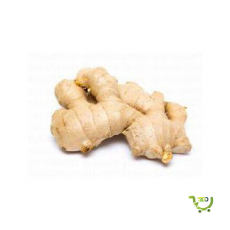 Ginger