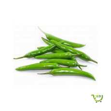 Chili Green India