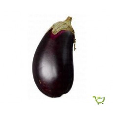 Eggplant Big