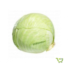 Cabbage White