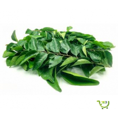 Fresh Curry Leaves