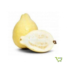 Guavas
