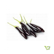 Eggplant Long