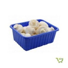 Gulf Fresh White Button Mushroom